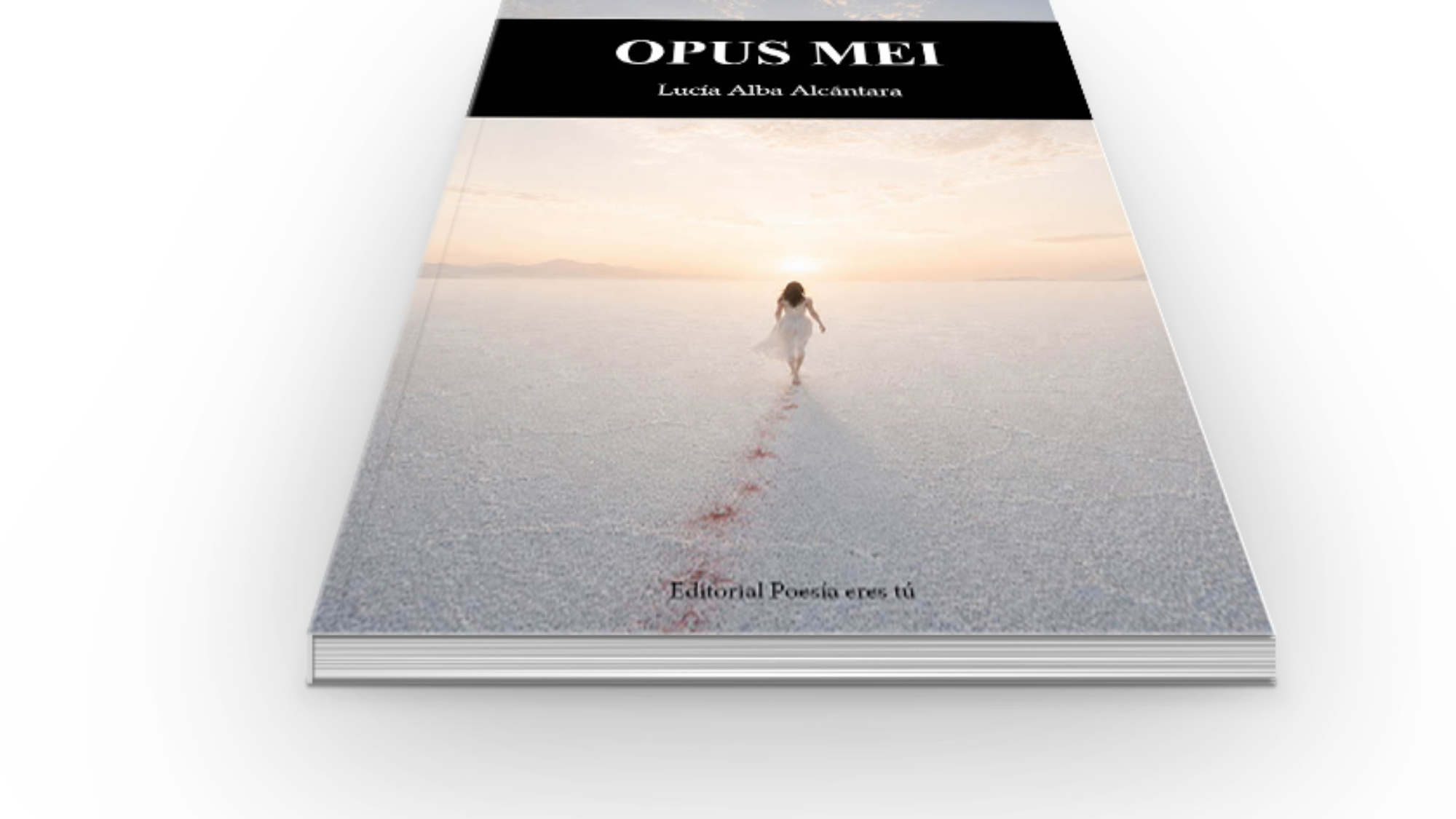 book6
