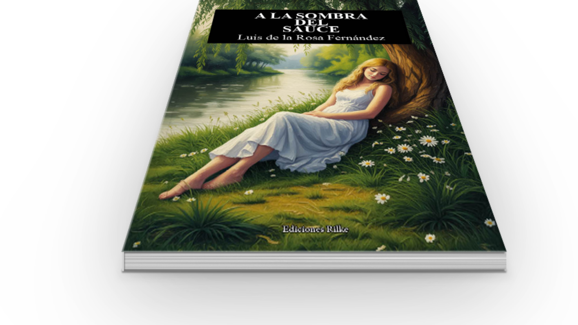 book6