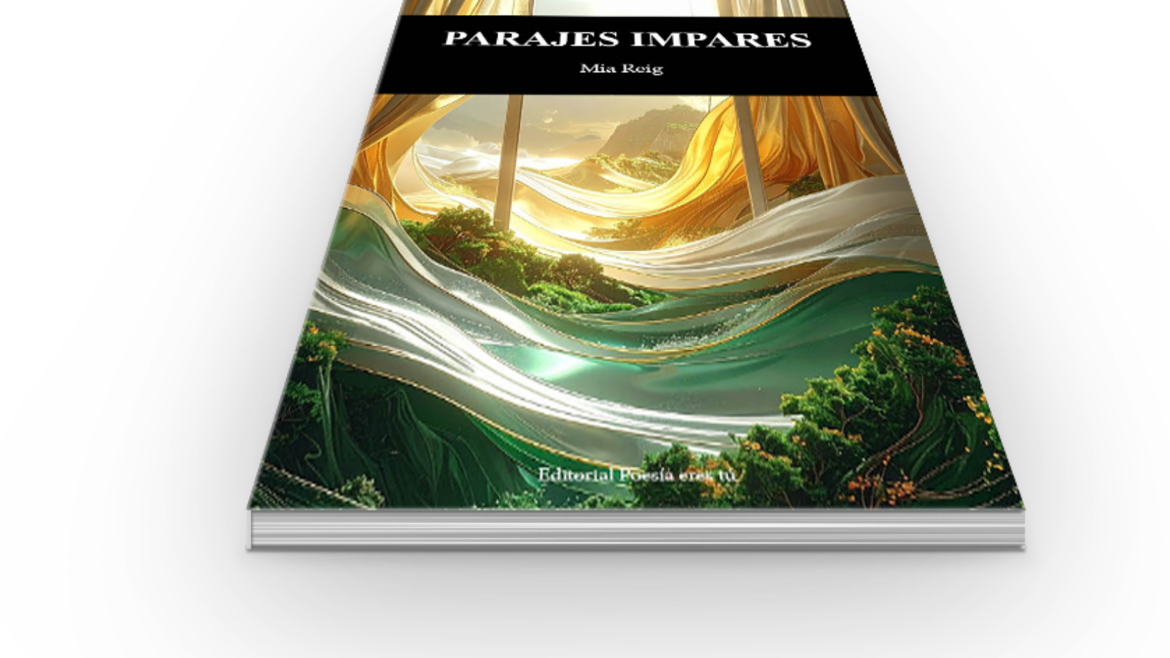 book6