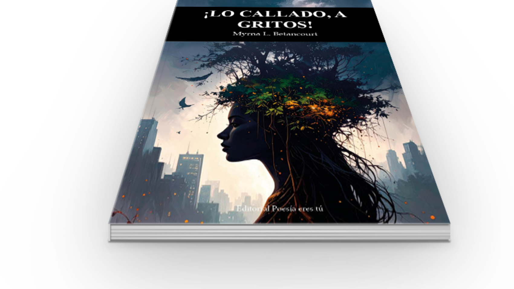 book6