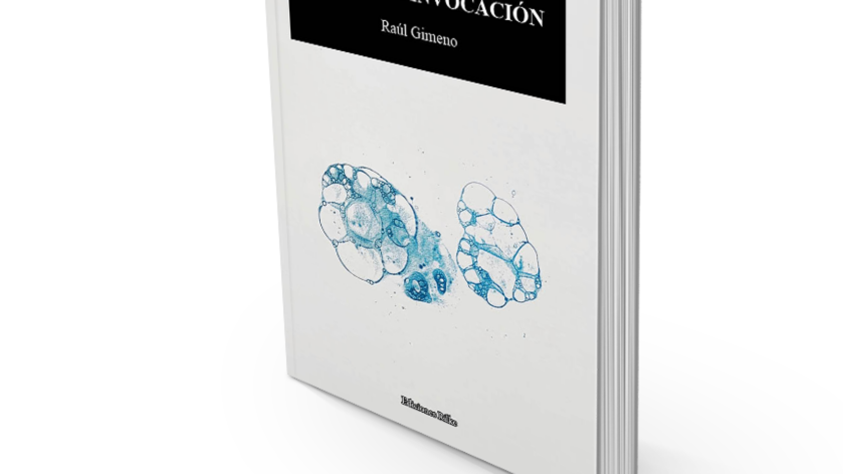 book5