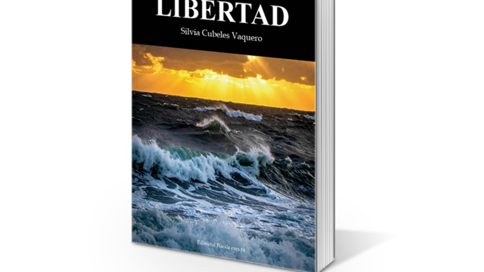 book1