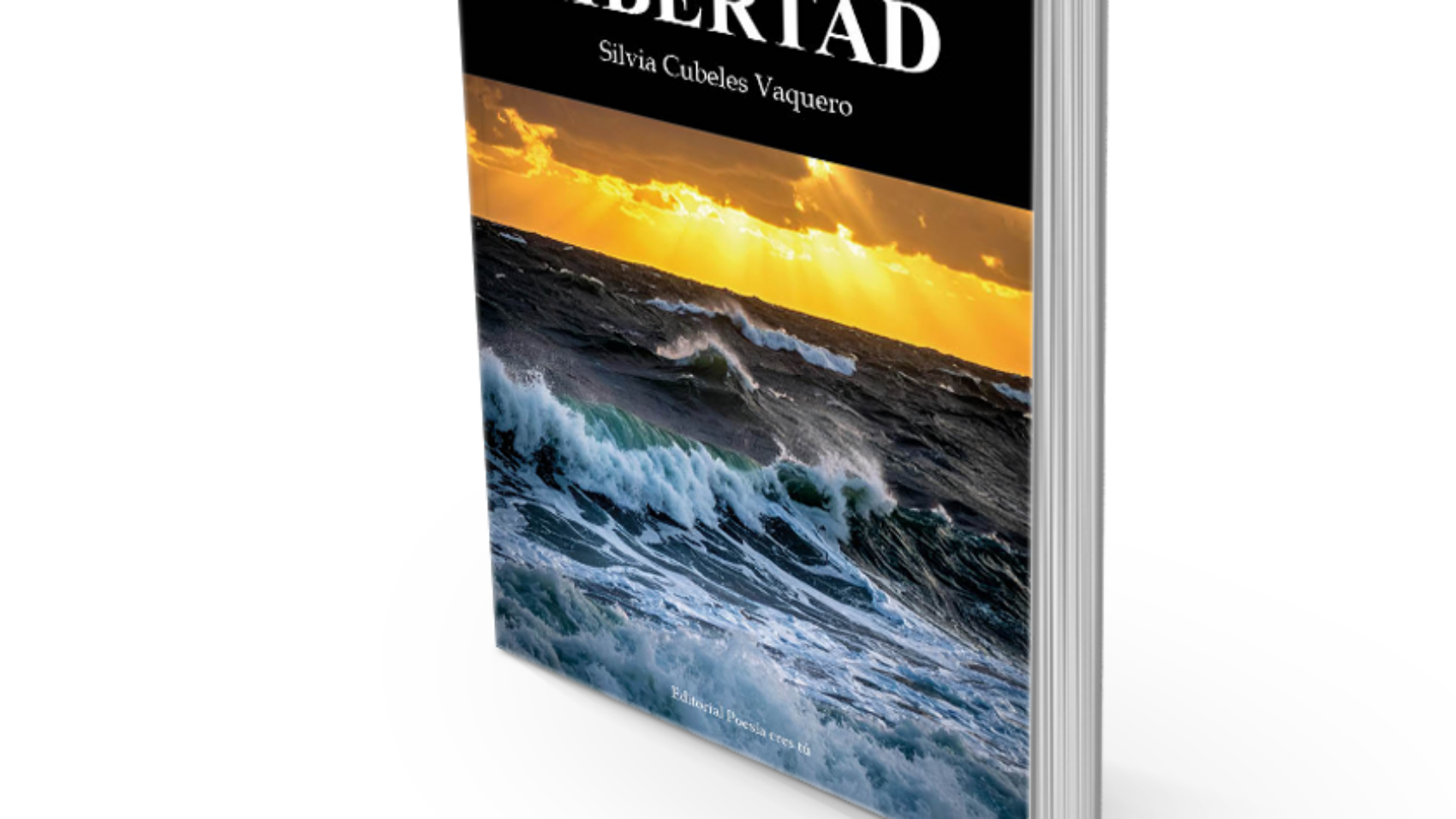 book5