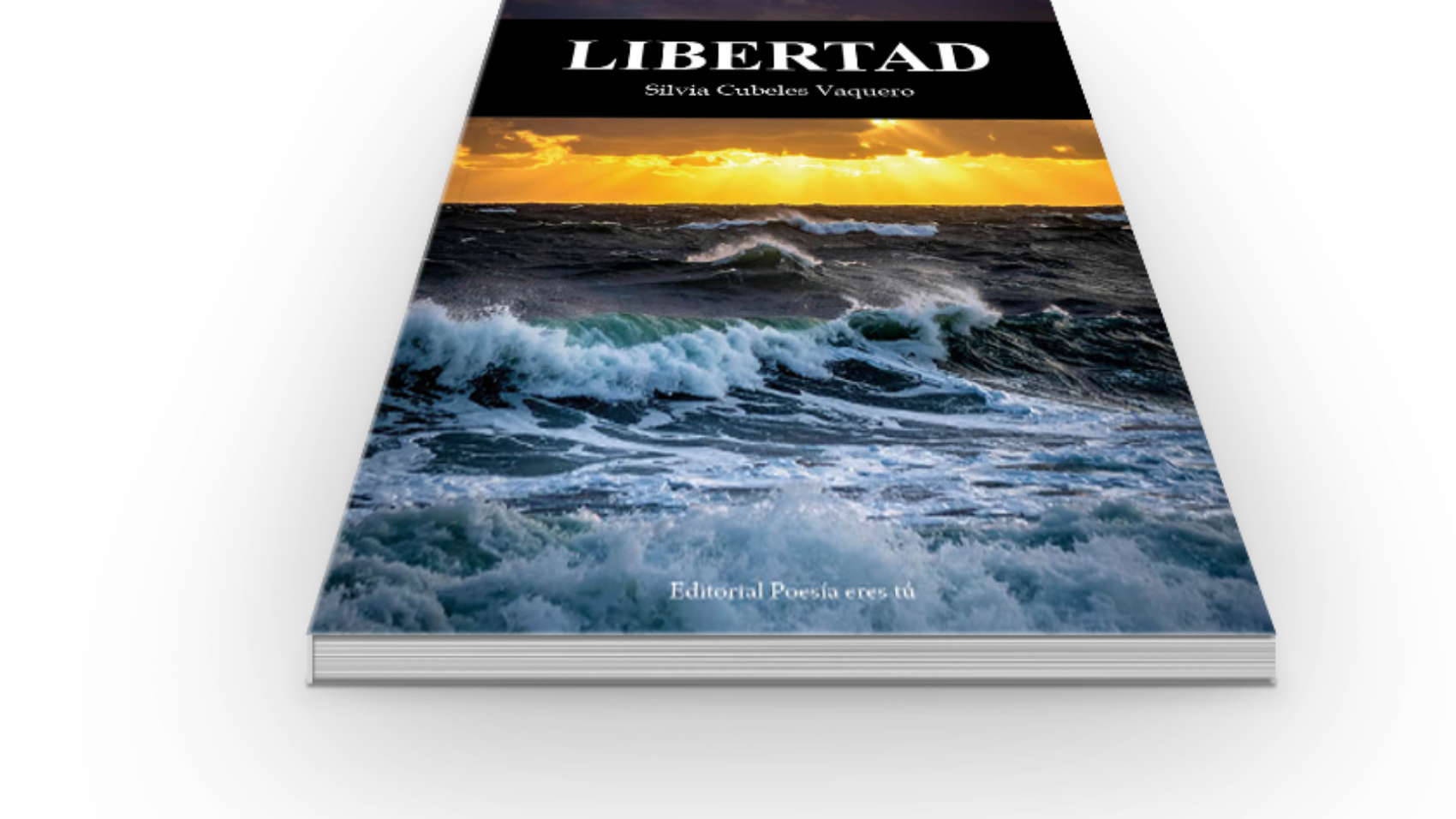 book6